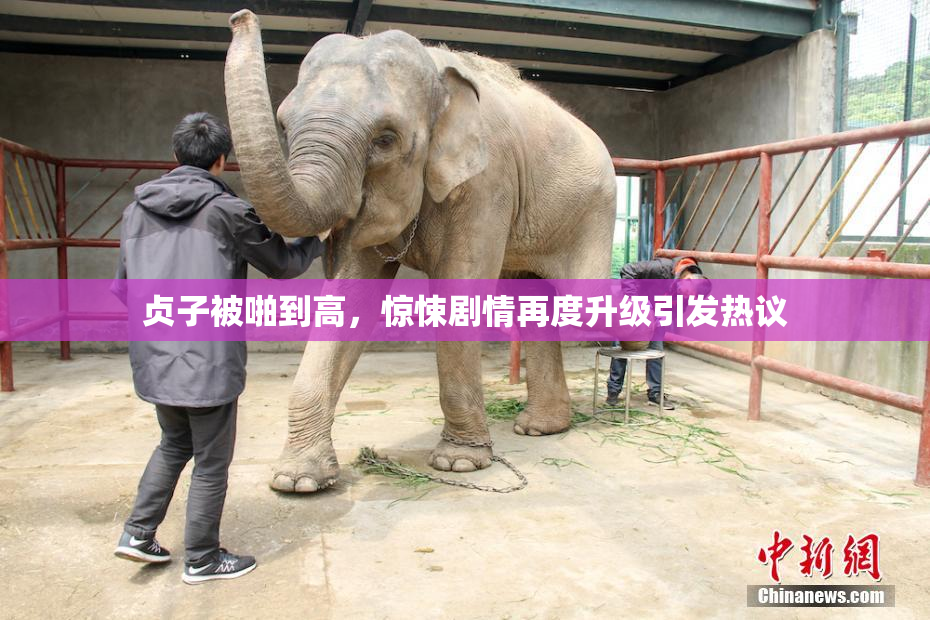 贞子被啪到高，惊悚剧情再度升级引发热议