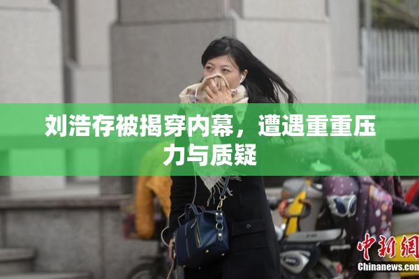 刘浩存被揭穿内幕，遭遇重重压力与质疑