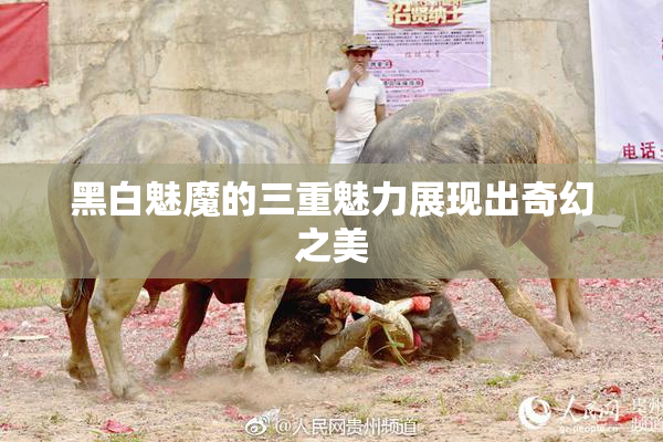 黑白魅魔的三重魅力展现出奇幻之美