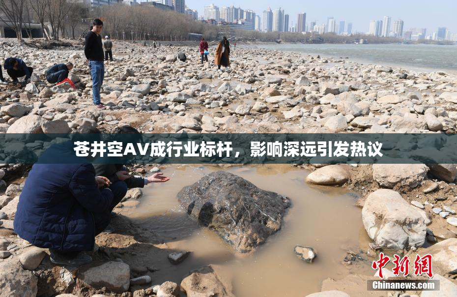苍井空AV成行业标杆，影响深远引发热议