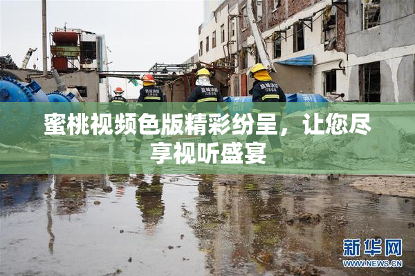 蜜桃视频色版精彩纷呈，让您尽享视听盛宴