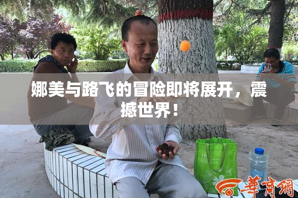 娜美与路飞的冒险即将展开，震撼世界！