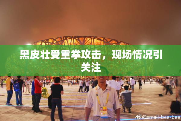 黑皮壮受重拳攻击，现场情况引关注