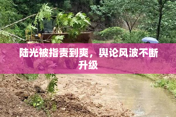 陆光被指责到爽，舆论风波不断升级