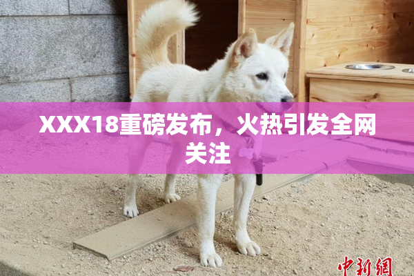 XXX18重磅发布，火热引发全网关注