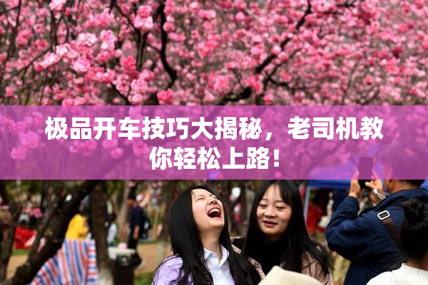 极品开车技巧大揭秘，老司机教你轻松上路！