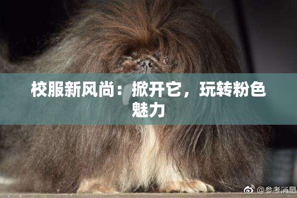 校服新风尚：掀开它，玩转粉色魅力