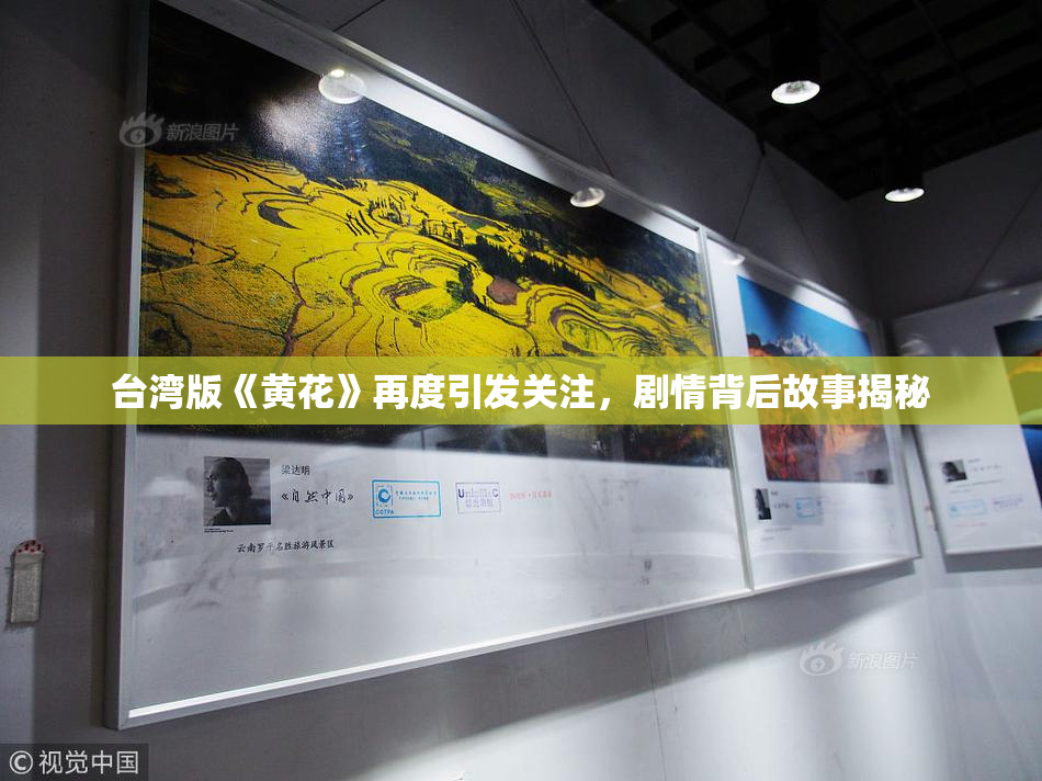 台湾版《黄花》再度引发关注，剧情背后故事揭秘