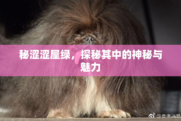 秘涩涩屋绿，探秘其中的神秘与魅力