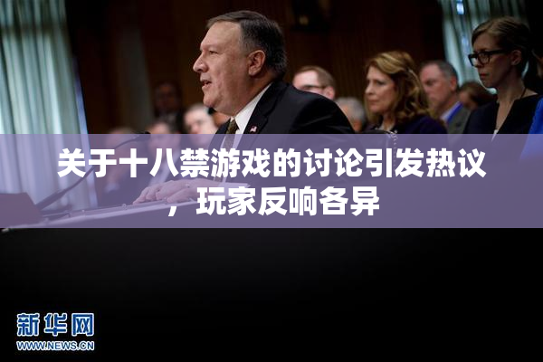 关于十八禁游戏的讨论引发热议，玩家反响各异