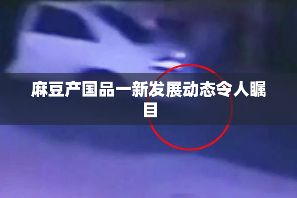 麻豆产国品一新发展动态令人瞩目