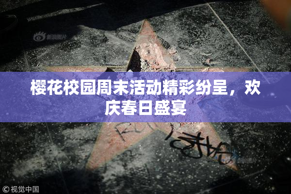 樱花校园周末活动精彩纷呈，欢庆春日盛宴