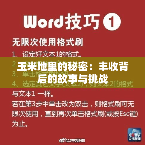 玉米地里的秘密：丰收背后的故事与挑战