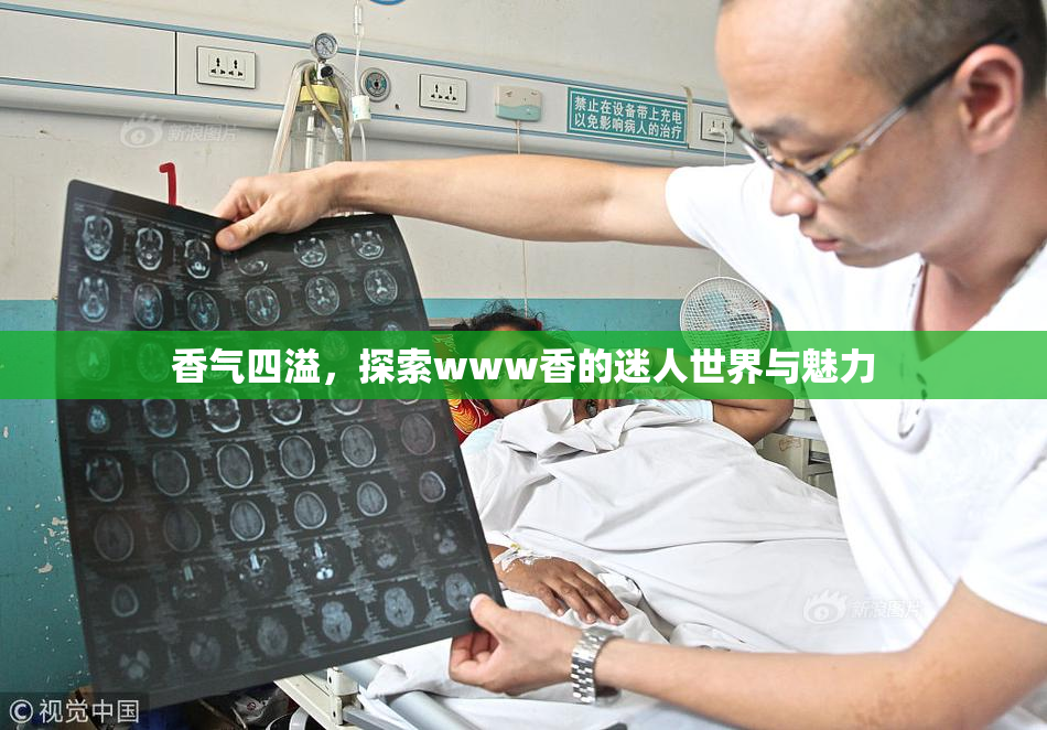 香气四溢，探索www香的迷人世界与魅力