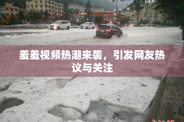 羞羞视频热潮来袭，引发网友热议与关注