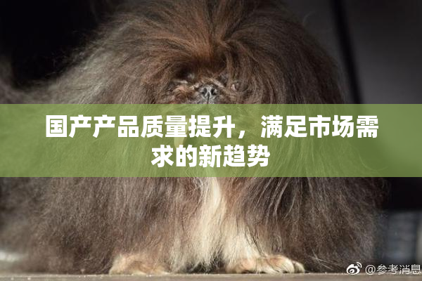 国产产品质量提升，满足市场需求的新趋势