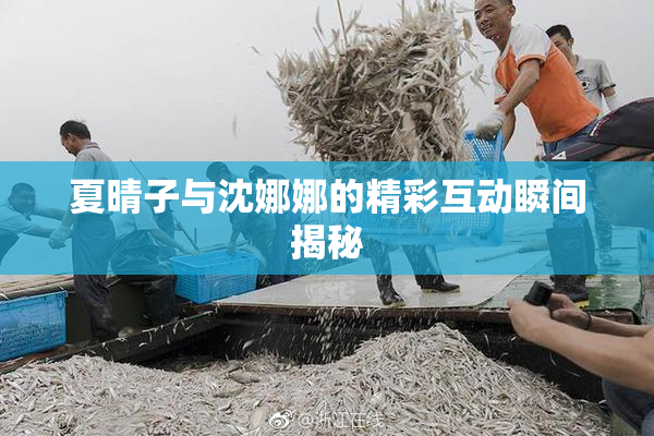 夏晴子与沈娜娜的精彩互动瞬间揭秘