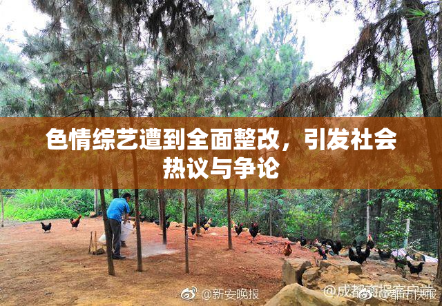 色情综艺遭到全面整改，引发社会热议与争论