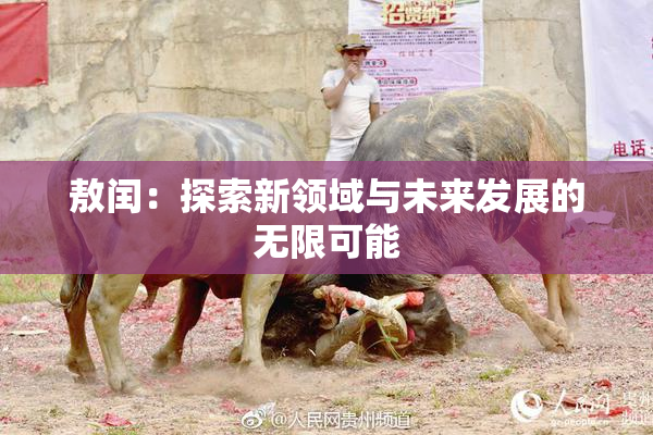 敖闰：探索新领域与未来发展的无限可能