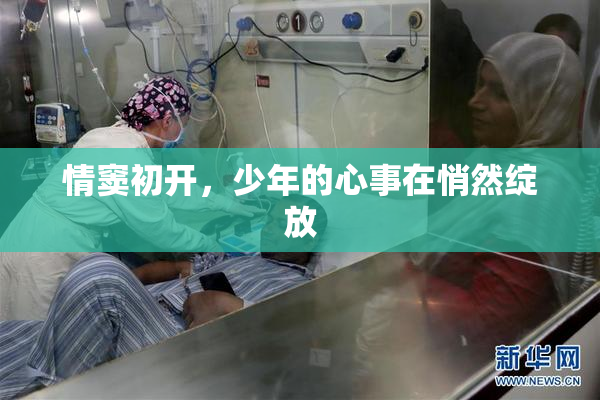 情窦初开，少年的心事在悄然绽放