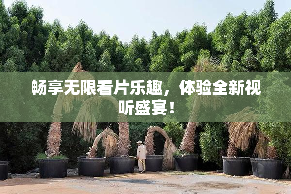 畅享无限看片乐趣，体验全新视听盛宴！