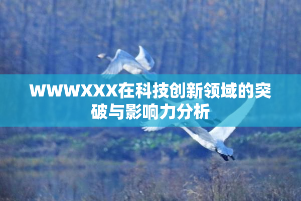 WWWXXX在科技创新领域的突破与影响力分析
