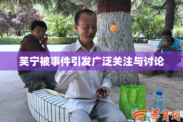芙宁被事件引发广泛关注与讨论