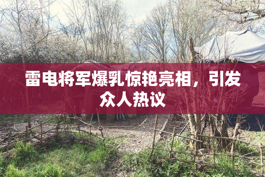 雷电将军爆乳惊艳亮相，引发众人热议