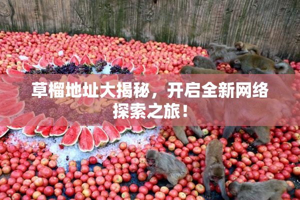草榴地址大揭秘，开启全新网络探索之旅！
