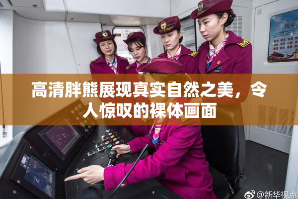 高清胖熊展现真实自然之美，令人惊叹的裸体画面