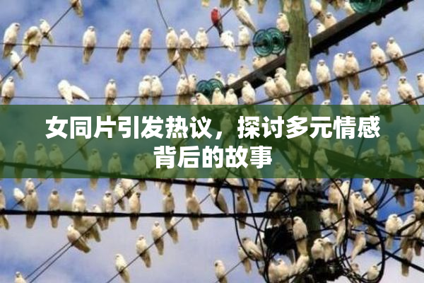 女同片引发热议，探讨多元情感背后的故事