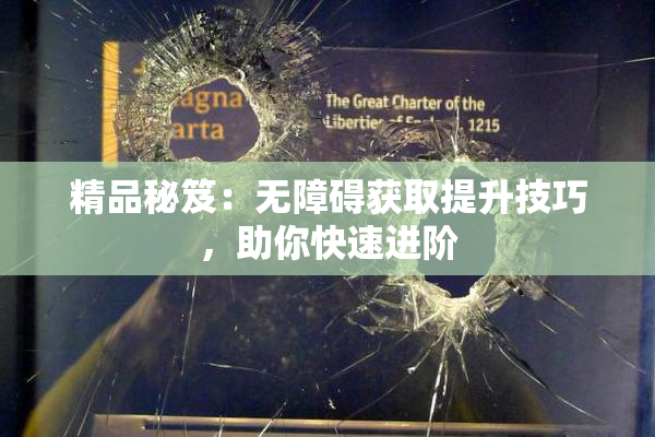 精品秘笈：无障碍获取提升技巧，助你快速进阶