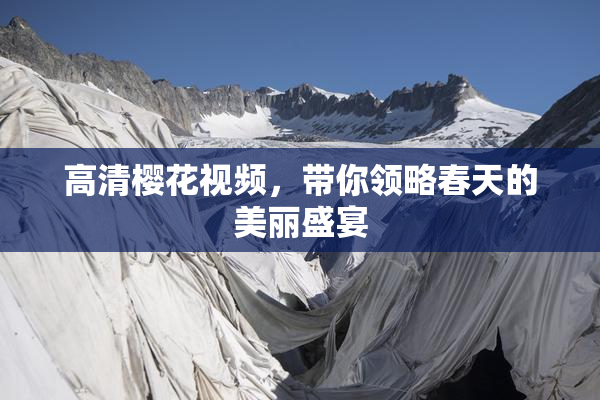 高清樱花视频，带你领略春天的美丽盛宴