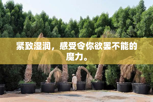 紧致湿润，感受令你欲罢不能的魔力。