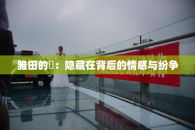 雏田的婬：隐藏在背后的情感与纷争