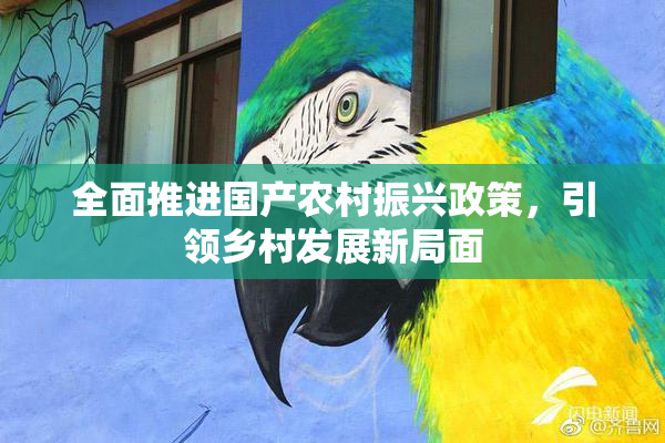 全面推进国产农村振兴政策，引领乡村发展新局面