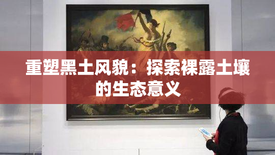 重塑黑土风貌：探索裸露土壤的生态意义