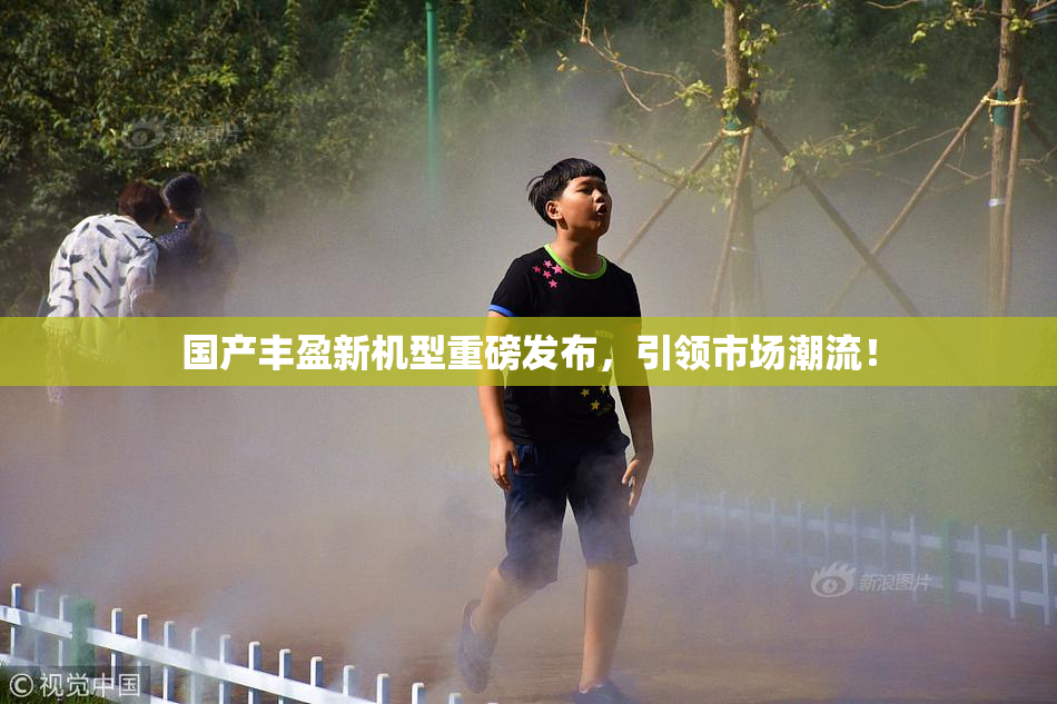 国产丰盈新机型重磅发布，引领市场潮流！
