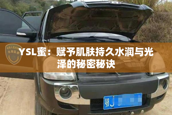 YSL蜜：赋予肌肤持久水润与光泽的秘密秘诀