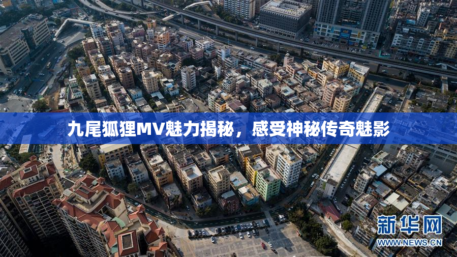 九尾狐狸MV魅力揭秘，感受神秘传奇魅影