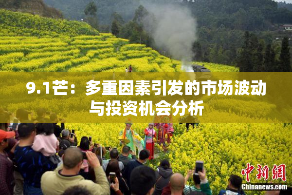 9.1芒：多重因素引发的市场波动与投资机会分析