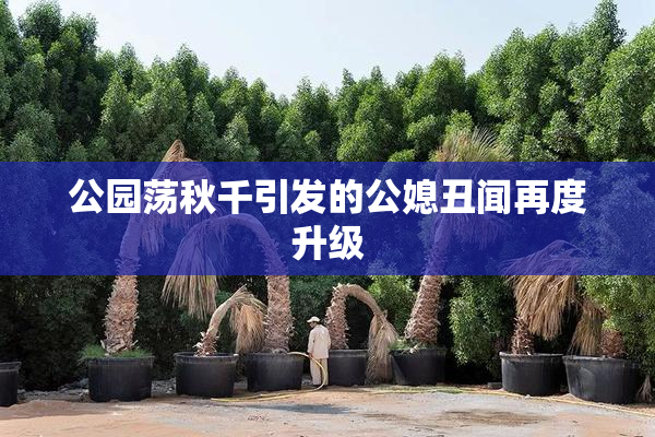 公园荡秋千引发的公媳丑闻再度升级
