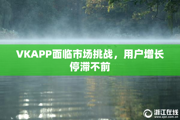 VKAPP面临市场挑战，用户增长停滞不前