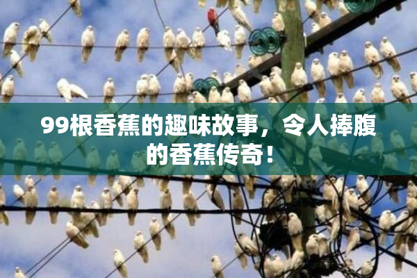 99根香蕉的趣味故事，令人捧腹的香蕉传奇！