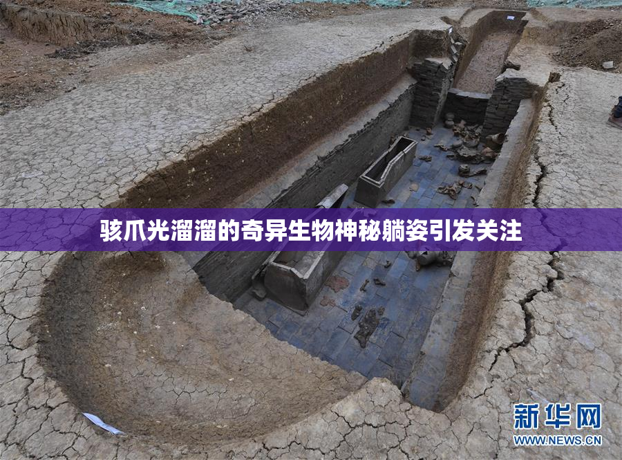 骇爪光溜溜的奇异生物神秘躺姿引发关注