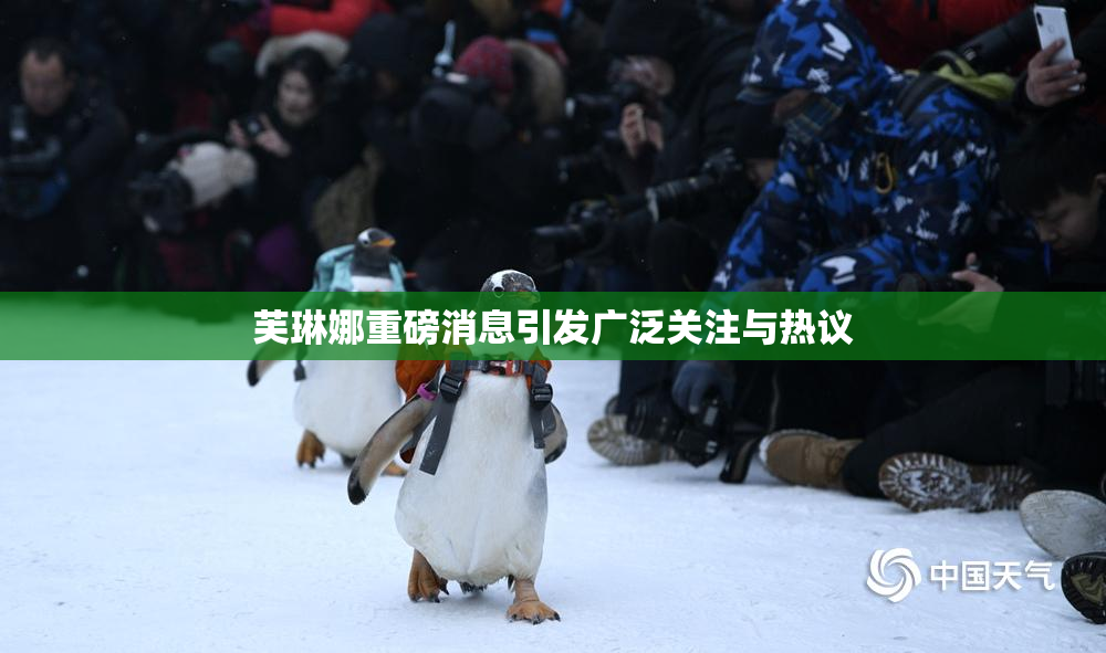 芙琳娜重磅消息引发广泛关注与热议