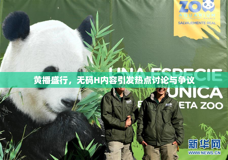 黄播盛行，无码H内容引发热点讨论与争议
