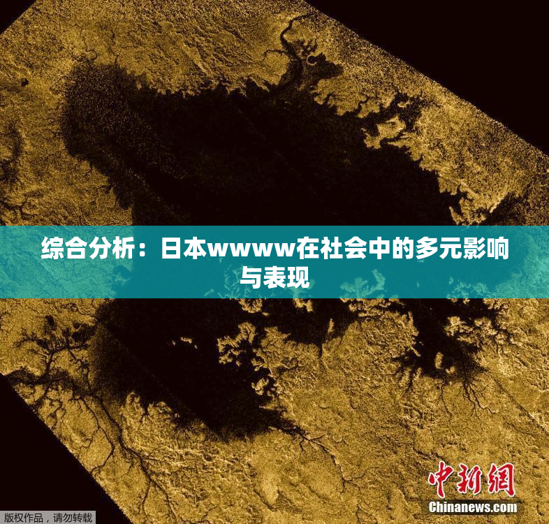 综合分析：日本wwww在社会中的多元影响与表现