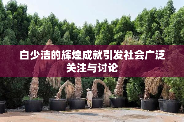 白少洁的辉煌成就引发社会广泛关注与讨论