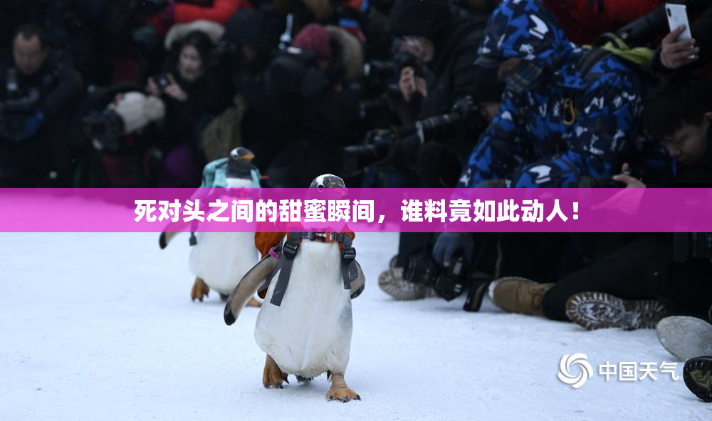 死对头之间的甜蜜瞬间，谁料竟如此动人！